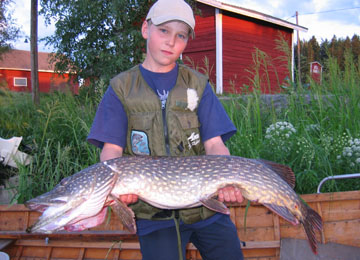 Hauki 5,5 kg. Rautavesi 10.7.2006. Kalastaja Kalle Ollila.
