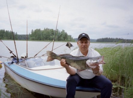 Kuha 5,0 kg Längelmävesi heinäkuu 2002. Kalastaja: Arto Koskinen.