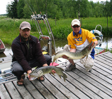 Hauet 7,8 ja 4,2 kg, Rautavesi 19.6.2007. Kalastajat Jani Ollikainen ja Mikko Ollila.