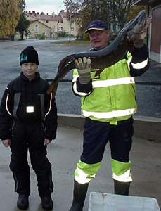Hauki 10,3 kg. Pälkänevesi 23.10.2004. Kalastajat Pasi Munne ja Joonas Susi.