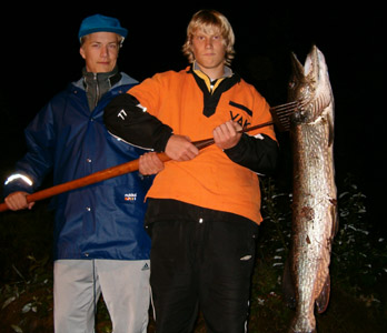 Hauki 12 kg. Houhajärvi 22.8.2004. Ville-Pekka Arponen ja Roope Grönlund.
