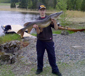 Hauki 7,0 kg, Rautavesi 18.5.2007. Kalastaja Juho Leikas.