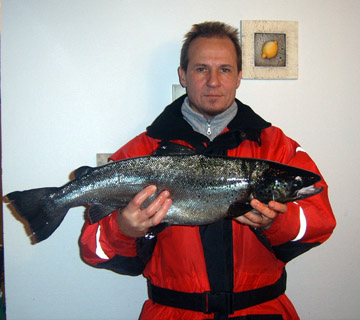 Järvilohi 3,6 kg, Näsijärvi 21.11.2007. Kalastaja Lasse Turunen.