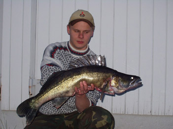 Kuha 6,5 kg Siuronkoski kesäkuu 2003. Kalastaja Tomi Ilola.
