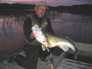 Rautaveden kuhajätti 2007. Kuva Markku Yntälän.