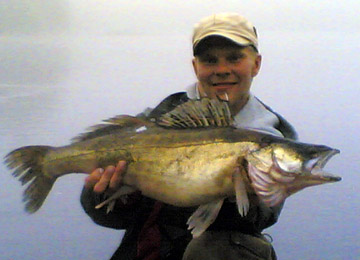 Kuha 6,25 kg, Näsijärvi Koljonselkä 18.8.2006. Kalastaja Jarkko Lahtinen.