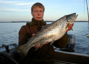 Järvitaimen 3,36 kg, Näsijärven Koljonselkä 16.6.2006. Kalastajat Toni Björkman ja Jaakko Rask.