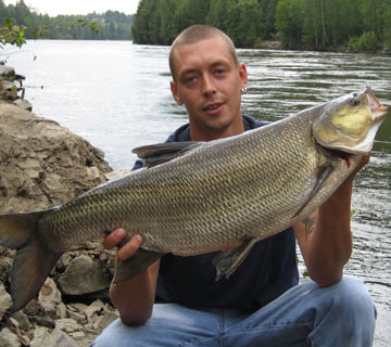 Toutain 6,06 kg, Kulovesi 25.8.2007. Kalastaja Mikko Jussila.